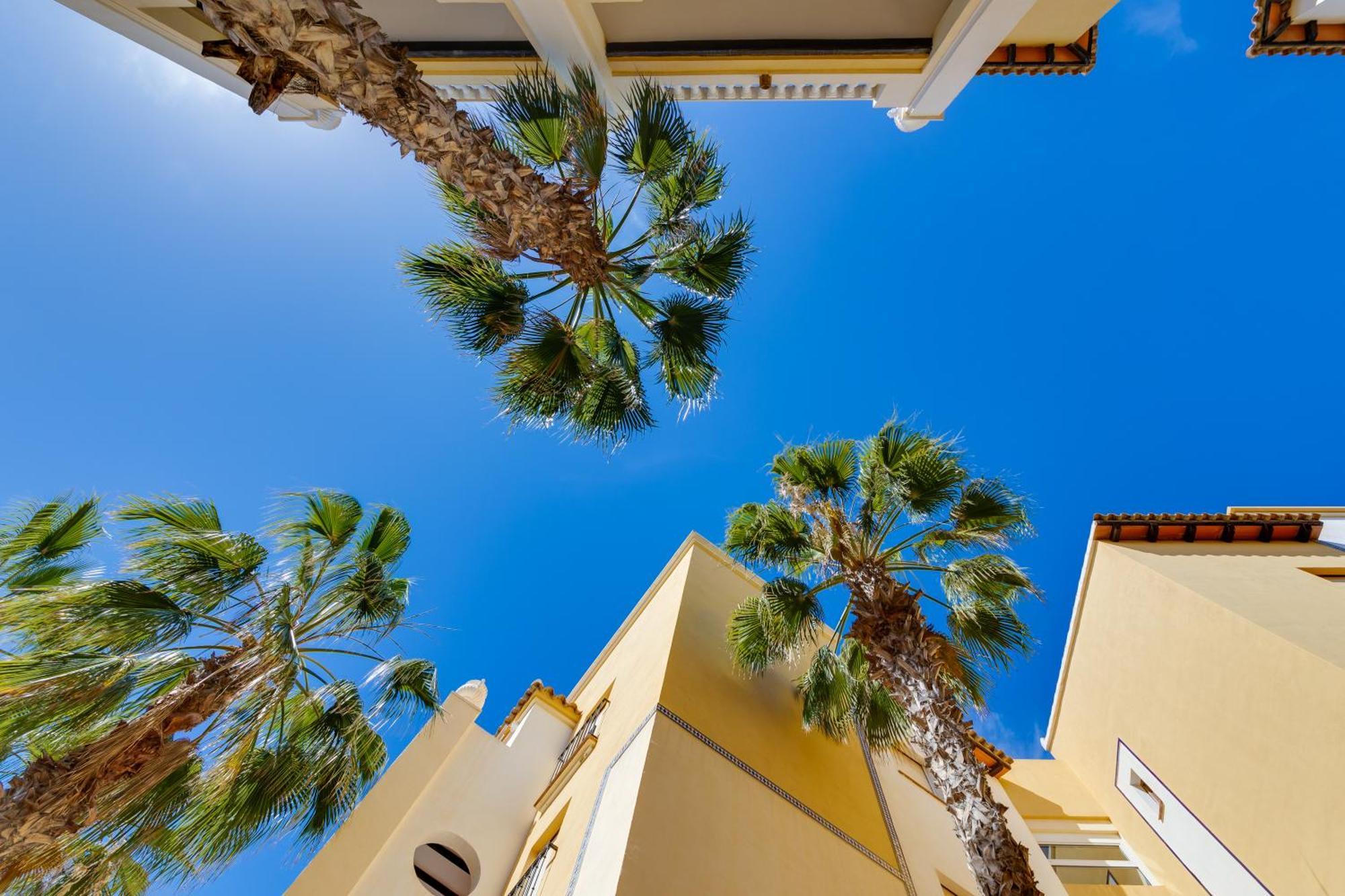 Premium Apartment Beach Aldea Del Mar Torrevieja Eksteriør bilde